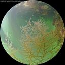 ./images/calvert/underwater/20260815/underwater20260815_185001M.jpg