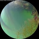 ./images/calvert/underwater/20260815/underwater20260815_190002M.jpg