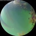 ./images/calvert/underwater/20260815/underwater20260815_191501M.jpg