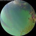 ./images/calvert/underwater/20260815/underwater20260815_192501M.jpg
