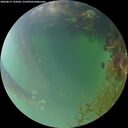 ./images/calvert/underwater/20260815/underwater20260815_195002M.jpg