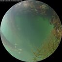 ./images/calvert/underwater/20260815/underwater20260815_200001M.jpg