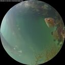 ./images/calvert/underwater/20260815/underwater20260815_201501M.jpg