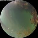 ./images/calvert/underwater/20260815/underwater20260815_202002M.jpg