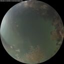 ./images/calvert/underwater/20260815/underwater20260815_205001M.jpg