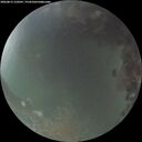 ./images/calvert/underwater/20260815/underwater20260815_210501M.jpg