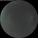 ./images/calvert/underwater/20260815/underwater20260815_212002M.jpg