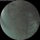 ./images/calvert/underwater/20260816/underwater20260816_060502M.jpg