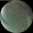 ./images/calvert/underwater/20260816/underwater20260816_061501M.jpg