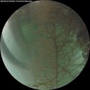 ./images/calvert/underwater/20260816/underwater20260816_062001M.jpg