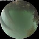 ./images/calvert/underwater/20260816/underwater20260816_062501M.jpg