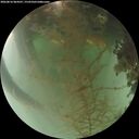 ./images/calvert/underwater/20260816/underwater20260816_064501M.jpg