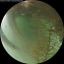 ./images/calvert/underwater/20260816/underwater20260816_065002M.jpg