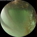 ./images/calvert/underwater/20260816/underwater20260816_065501M.jpg