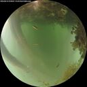 ./images/calvert/underwater/20260816/underwater20260816_070001M.jpg