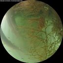 ./images/calvert/underwater/20260816/underwater20260816_070501M.jpg
