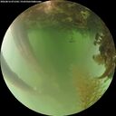 ./images/calvert/underwater/20260816/underwater20260816_071501M.jpg