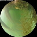 ./images/calvert/underwater/20260816/underwater20260816_073001M.jpg