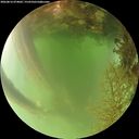 ./images/calvert/underwater/20260816/underwater20260816_074002M.jpg