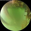 ./images/calvert/underwater/20260816/underwater20260816_074501M.jpg