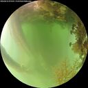 ./images/calvert/underwater/20260816/underwater20260816_075501M.jpg