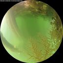./images/calvert/underwater/20260816/underwater20260816_080501M.jpg