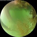 ./images/calvert/underwater/20260816/underwater20260816_081001M.jpg
