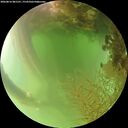 ./images/calvert/underwater/20260816/underwater20260816_081501M.jpg