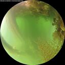 ./images/calvert/underwater/20260816/underwater20260816_082002M.jpg