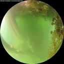 ./images/calvert/underwater/20260816/underwater20260816_084002M.jpg