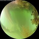 ./images/calvert/underwater/20260816/underwater20260816_085001M.jpg