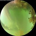 ./images/calvert/underwater/20260816/underwater20260816_090002M.jpg