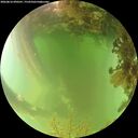 ./images/calvert/underwater/20260816/underwater20260816_090501M.jpg