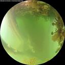 ./images/calvert/underwater/20260816/underwater20260816_091001M.jpg