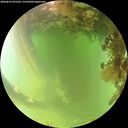 ./images/calvert/underwater/20260816/underwater20260816_091501M.jpg