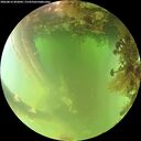 ./images/calvert/underwater/20260816/underwater20260816_092002M.jpg