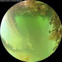 ./images/calvert/underwater/20260816/underwater20260816_092501M.jpg