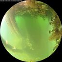 ./images/calvert/underwater/20260816/underwater20260816_093001M.jpg