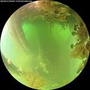 ./images/calvert/underwater/20260816/underwater20260816_094001M.jpg