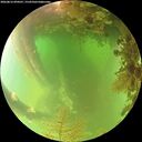 ./images/calvert/underwater/20260816/underwater20260816_094501M.jpg