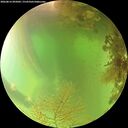 ./images/calvert/underwater/20260816/underwater20260816_095001M.jpg