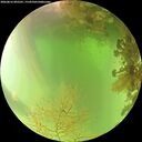 ./images/calvert/underwater/20260816/underwater20260816_095501M.jpg