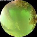 ./images/calvert/underwater/20260816/underwater20260816_100501M.jpg