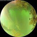 ./images/calvert/underwater/20260816/underwater20260816_101001M.jpg