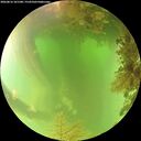 ./images/calvert/underwater/20260816/underwater20260816_101501M.jpg
