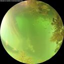 ./images/calvert/underwater/20260816/underwater20260816_102002M.jpg
