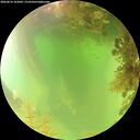 ./images/calvert/underwater/20260816/underwater20260816_103002M.jpg