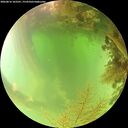 ./images/calvert/underwater/20260816/underwater20260816_103501M.jpg