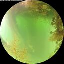 ./images/calvert/underwater/20260816/underwater20260816_104001M.jpg