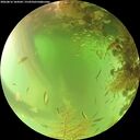 ./images/calvert/underwater/20260816/underwater20260816_104501M.jpg